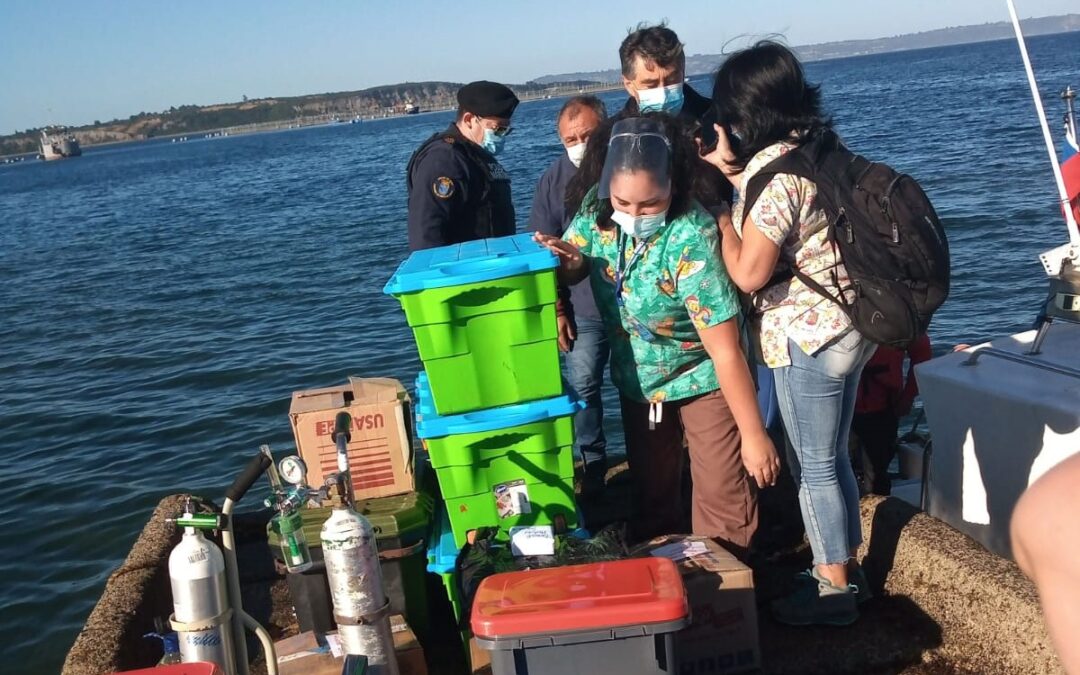 En Quinchao: Atención primaria entrega salud de isla en isla con mucho esfuerzo