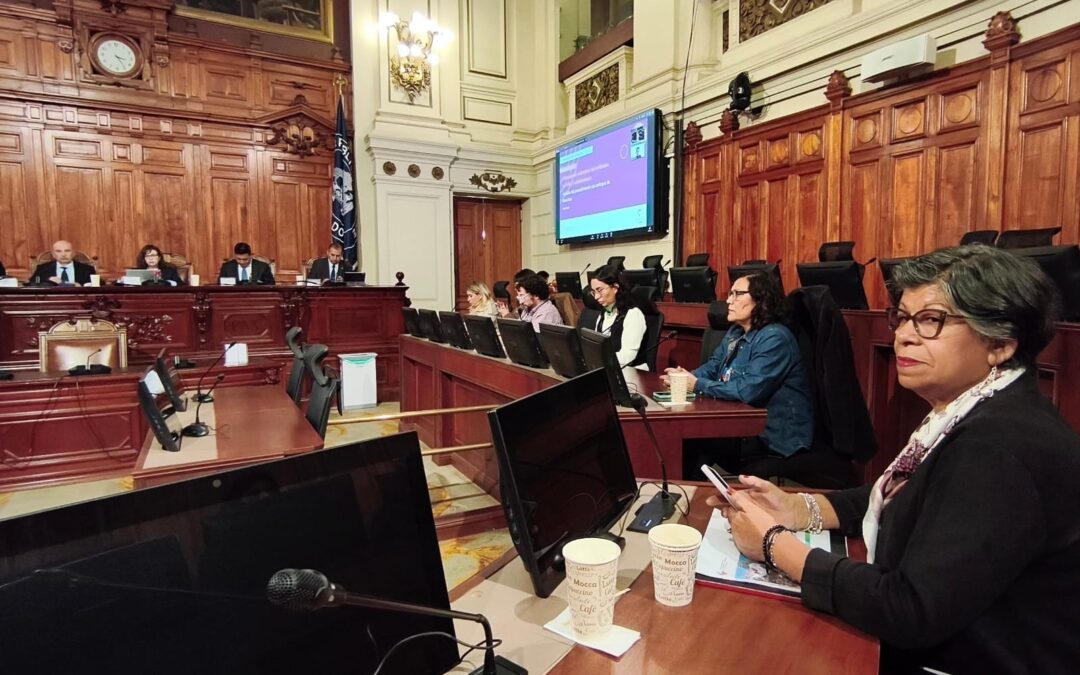 Confusam expone ante el Senado el crítico escenario de la atención primaria por alza de combustible y recortes